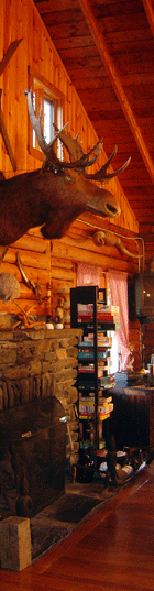 Photo of one of the moosehead trophys hanging in the Main Lodge of Jackson's Lodge and Log Cabin Village, Canaan, VT.  This one is located over the large fireplace in the Game Room.