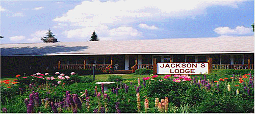 Perennial garden welcomes guests arriving at family-friendly Jackson's Lodge and Log Cabins in Vermont's Northeast Kingdom