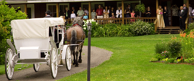 A bride arrives  by horse and carriage at her Jackson's Lodge wedding.