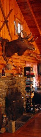 One of the large moose heads hanging over a fireplace in the Main Lodge at Jackson's.